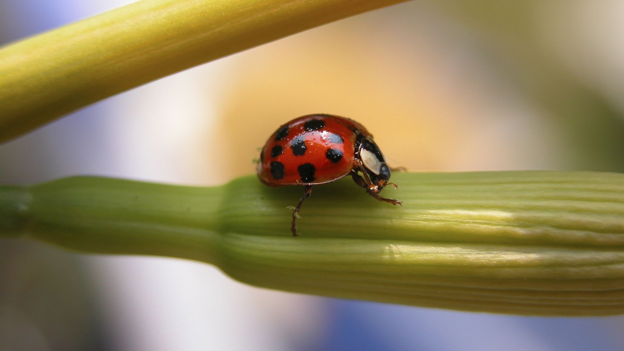 Istock 000000825256Large