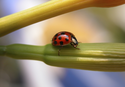Istock 000000825256Large