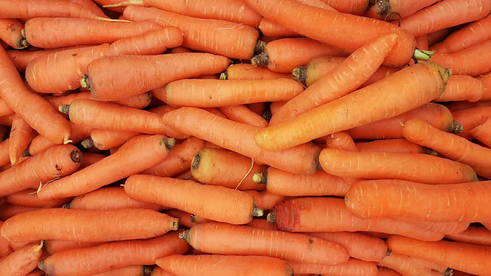 Carrots