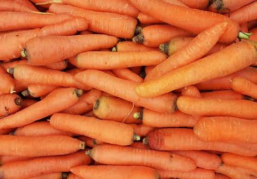 Carrots